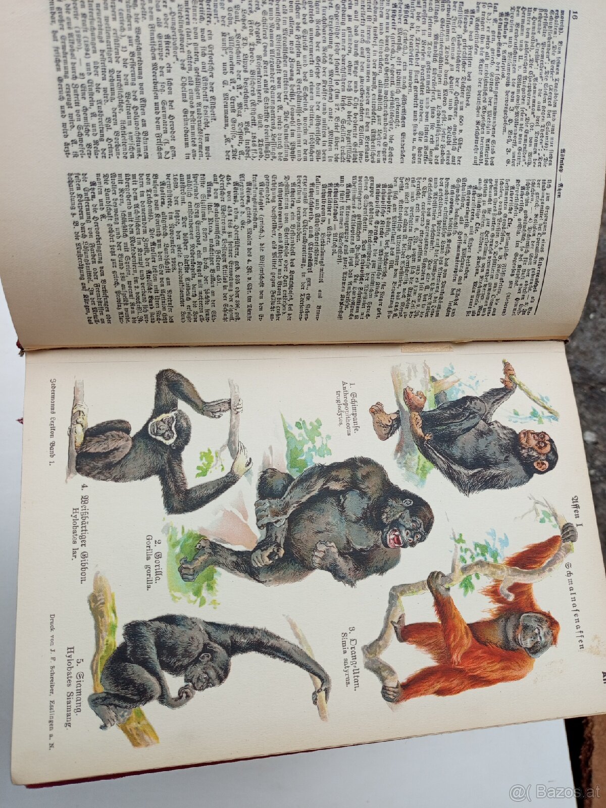 Jedermanns Lexikon – 10 Bände, antiquarisch - 6