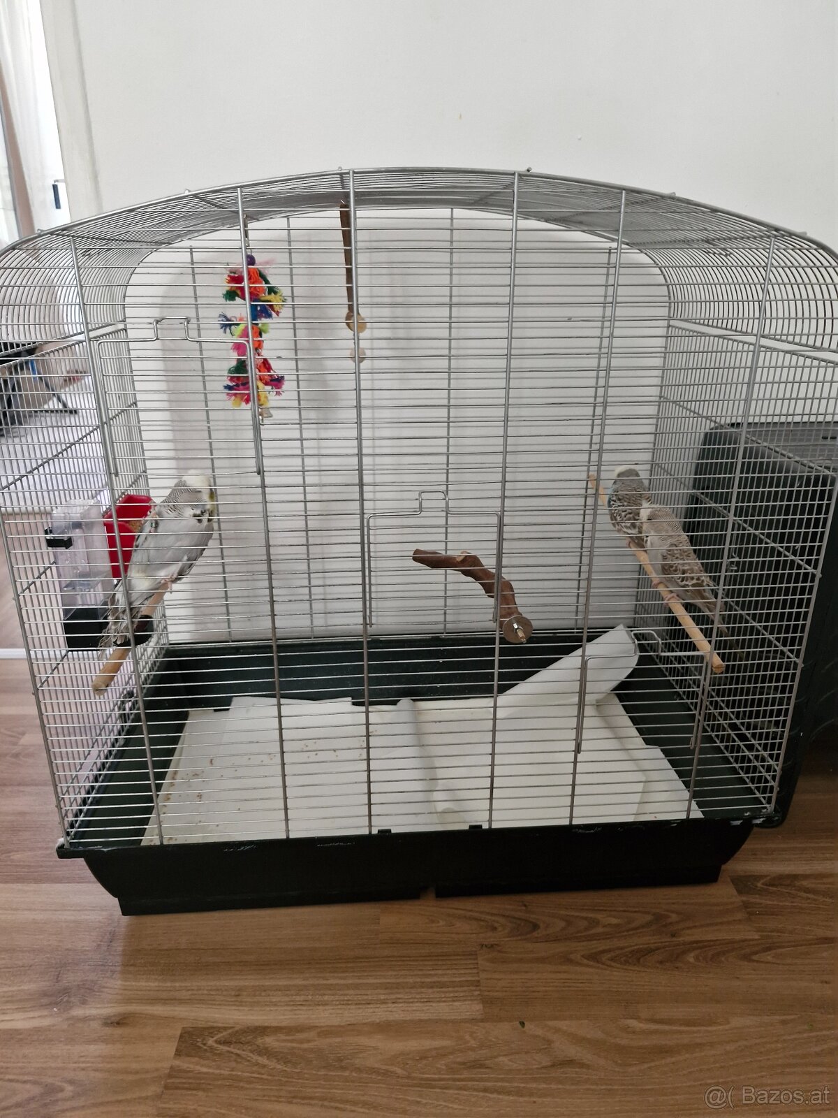Vogelkäfig - 6
