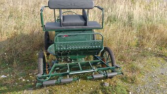 Shetland kleiner Lastenwagen, Kutsche - 6