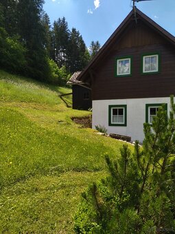Haus đ & Stadl - Skiregion Oberösterreich - 6