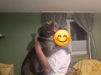Hund zu verschenken - 6