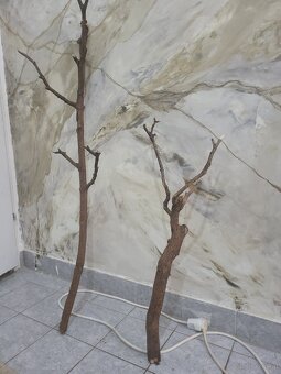 Maler - 6