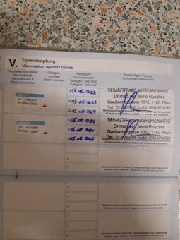 Tyson sucht ein schönes Zuhause - 6