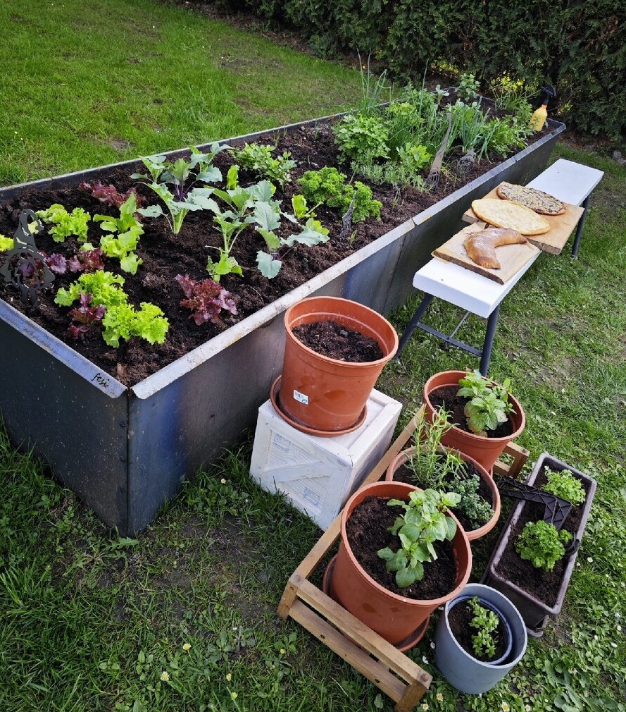 Schluss mit Schnecken Massives 3-mm-Hochbeet aus Stahl - 7