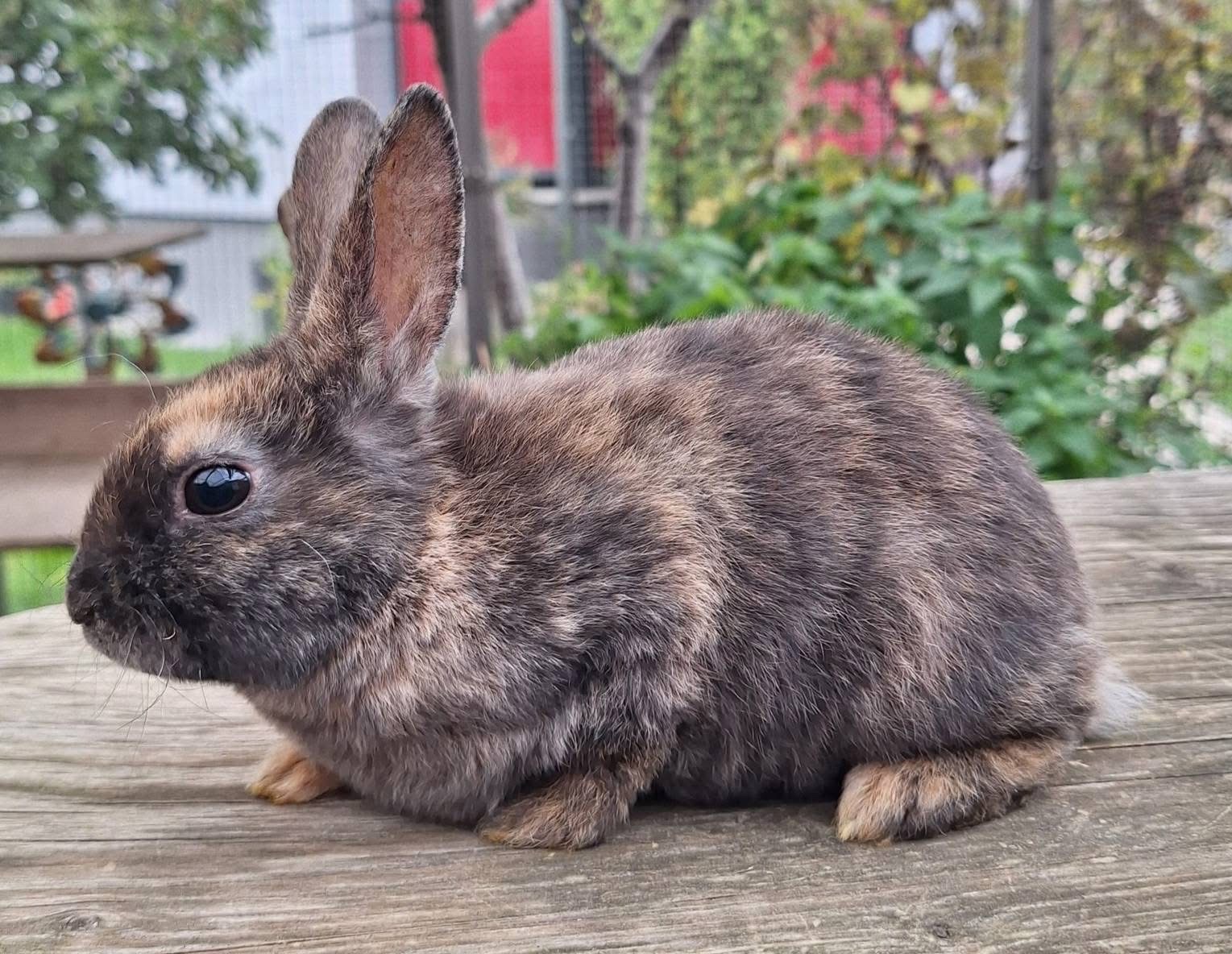 Hope, ihr Bub  und ihr Enkerl suchen Bestplatz - 7