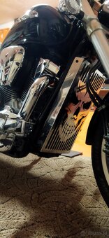 Chopper Kühlerabdeckung Benutzerdefiniertes Muster, Logo - 7