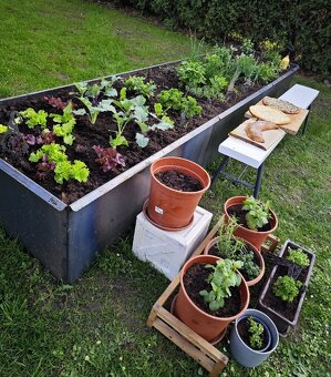 Schluss mit Schnecken Massives 3-mm-Hochbeet aus Stahl - 7