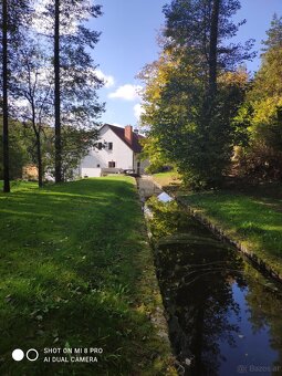 Charmante Mühle mit Teich,Wald,5 Wohnungen zu vermiete - 8