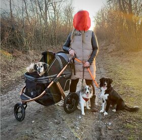 Hundebuggy bis 23 kg PetBuggy - 8