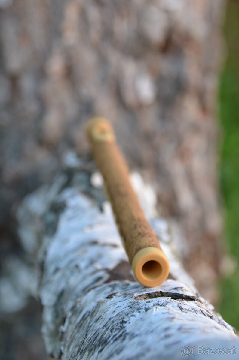 Pastierska šesťdierková píšťala (Schäferpfeife sechsloch) - 9