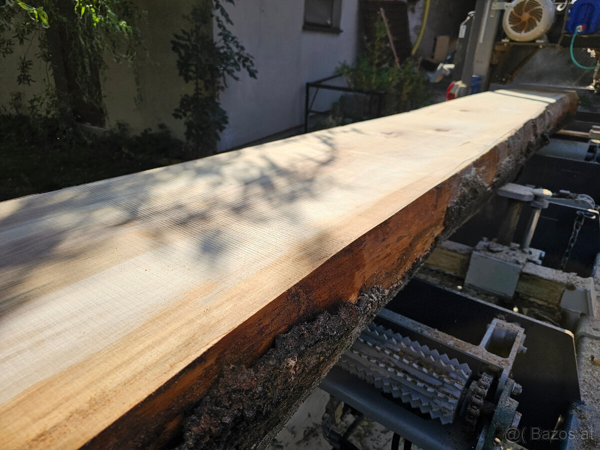 Ich verkaufe eine Blockbandsäge mobil TP-600, - 9