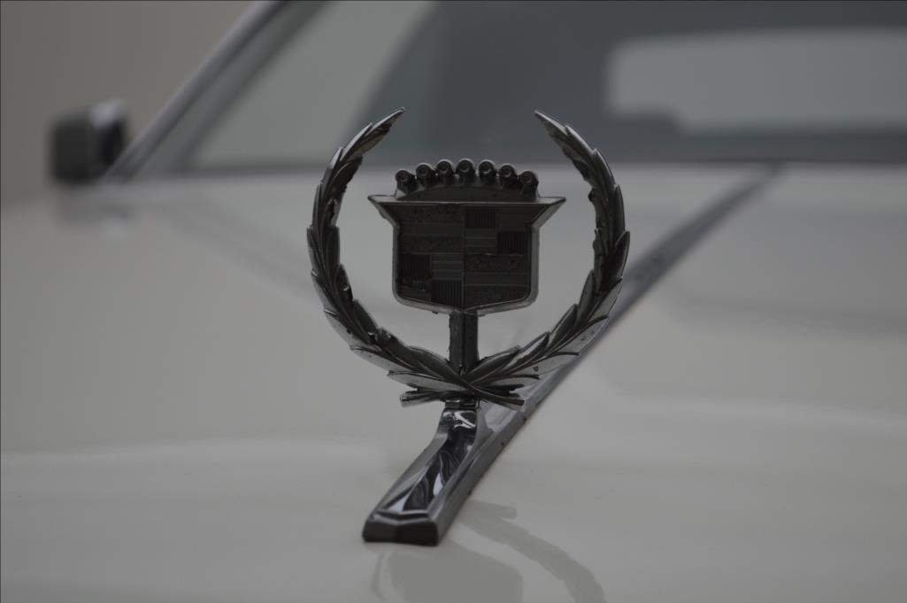 Cadillac Eldorado, FLEETWOOD 8,2 V8 (175 kW) 1973 - 9