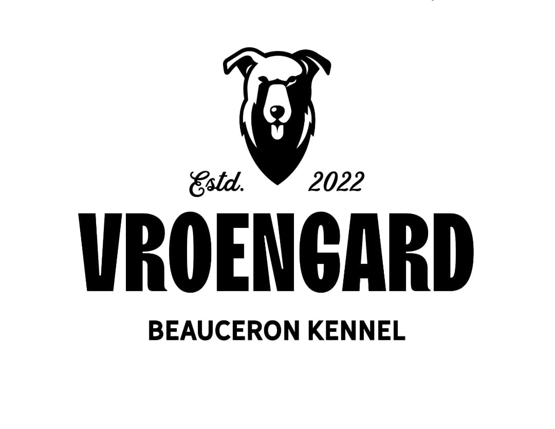 Zuverlässige Zuchtstätte für Beauceron-Hunde - 9