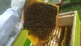 Natura Echte Bio Honig - 9